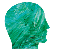 Integrated report front cover image