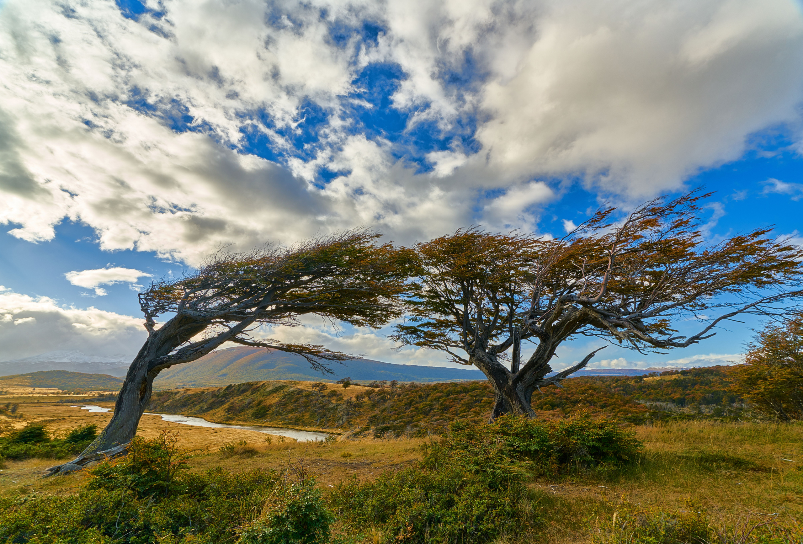 4. Artificial intelligence: friend or foe?