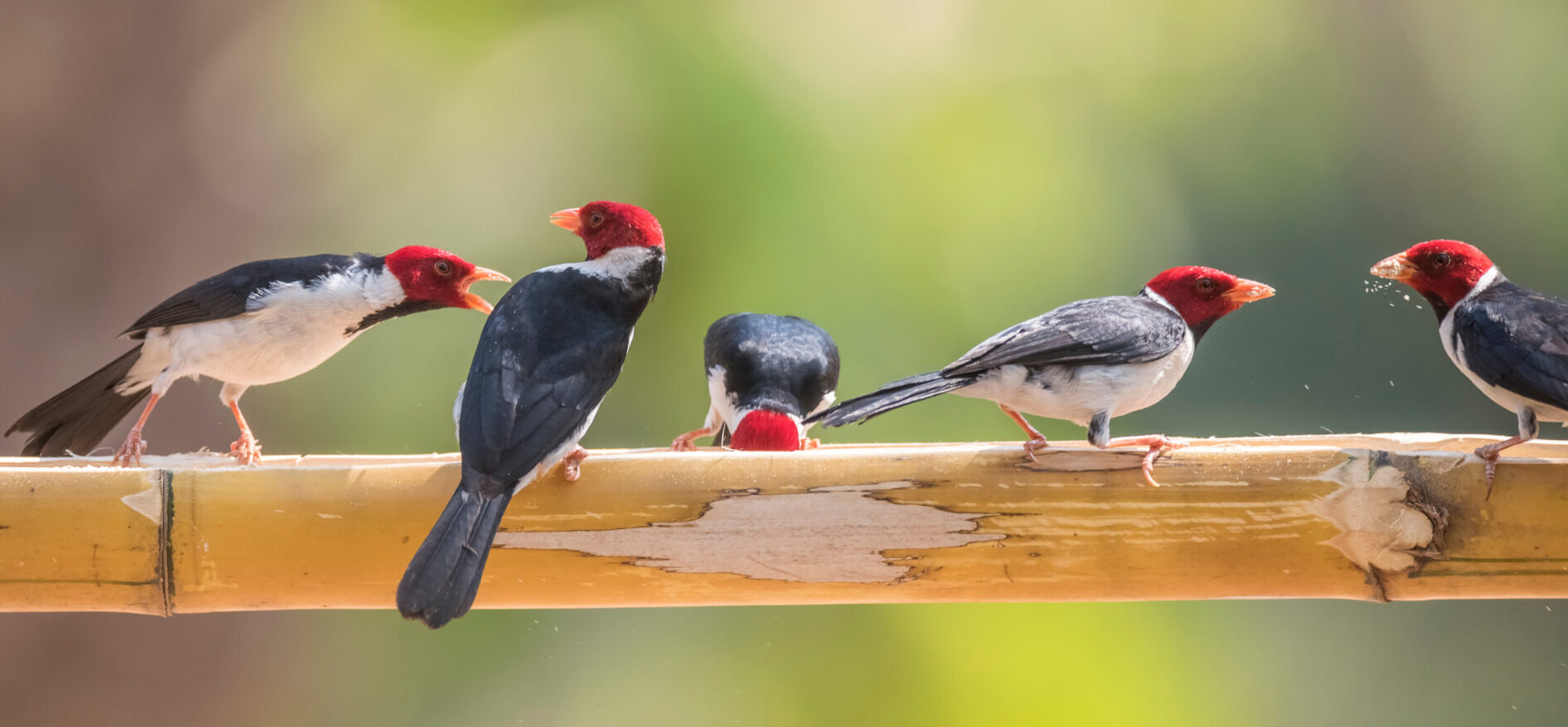 4. Insights and best practices from global asset owners | part 1