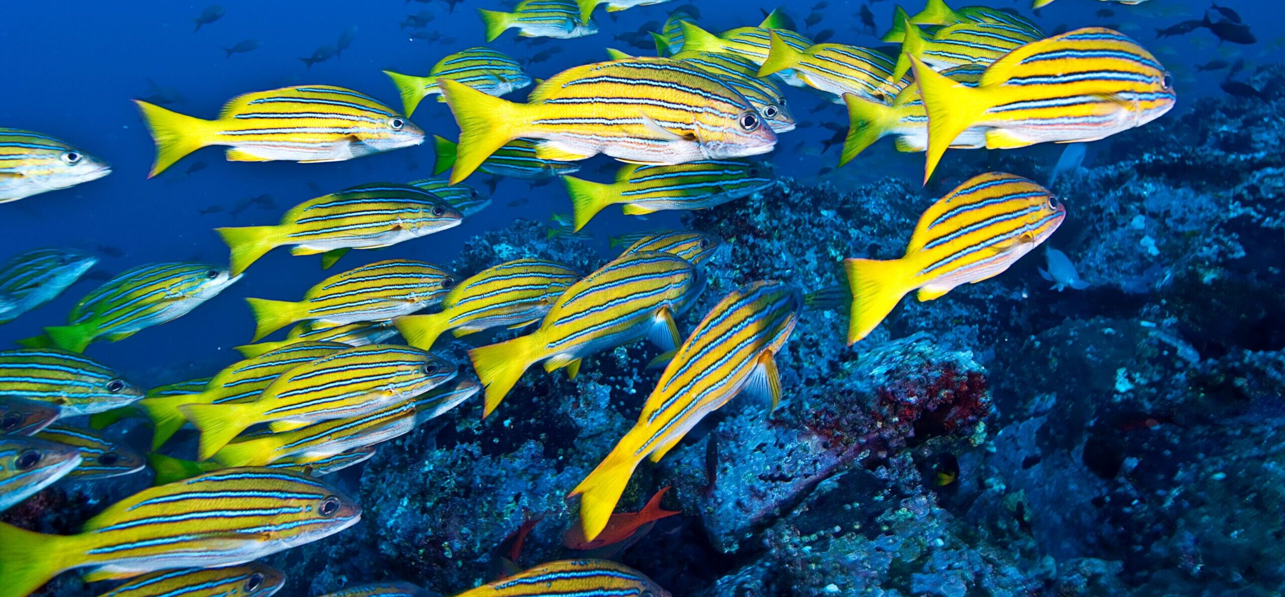 7. Investing in a world of uncertainty: the geopolitical lens