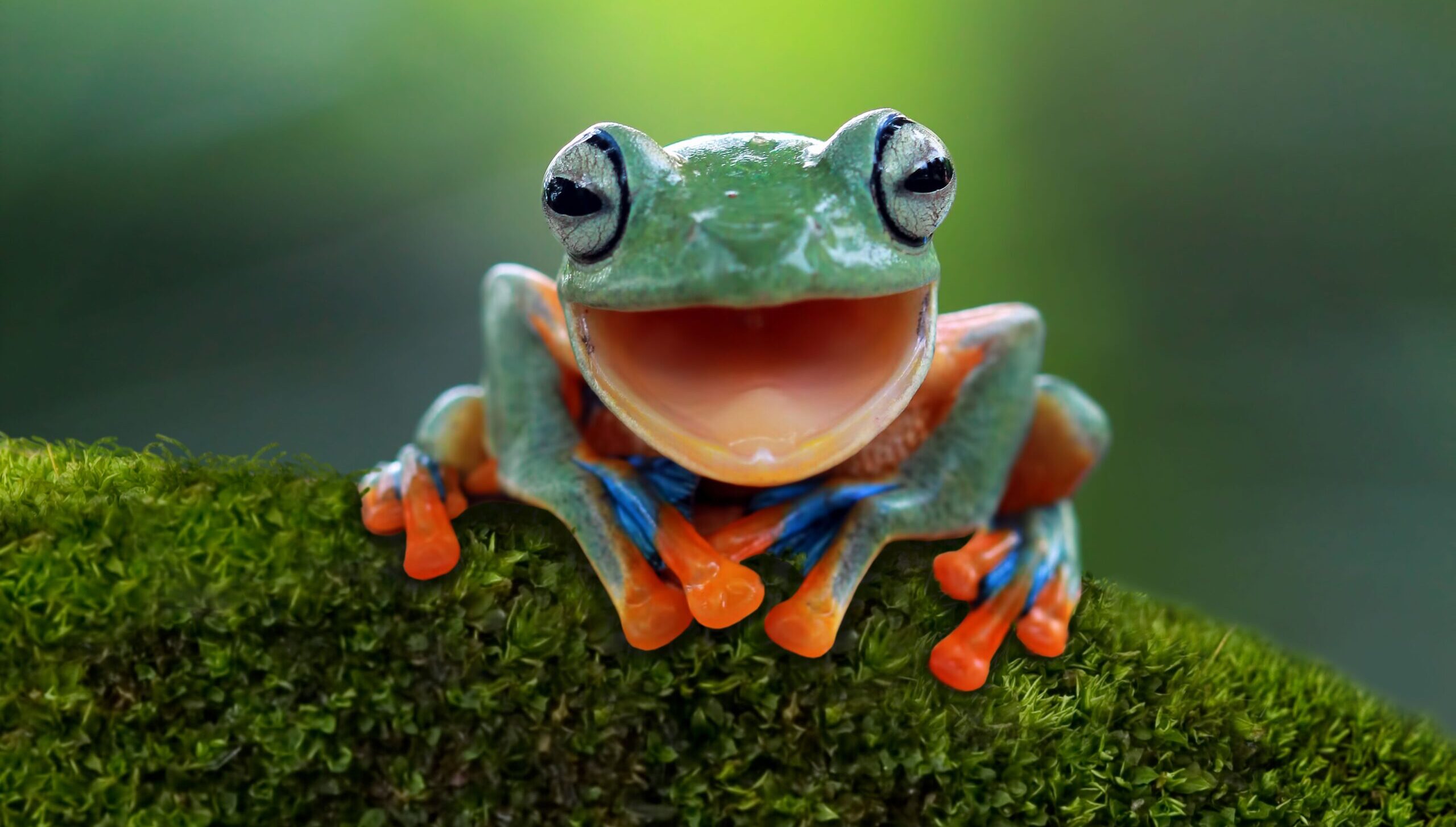 8. Key insights and research highlights 2024