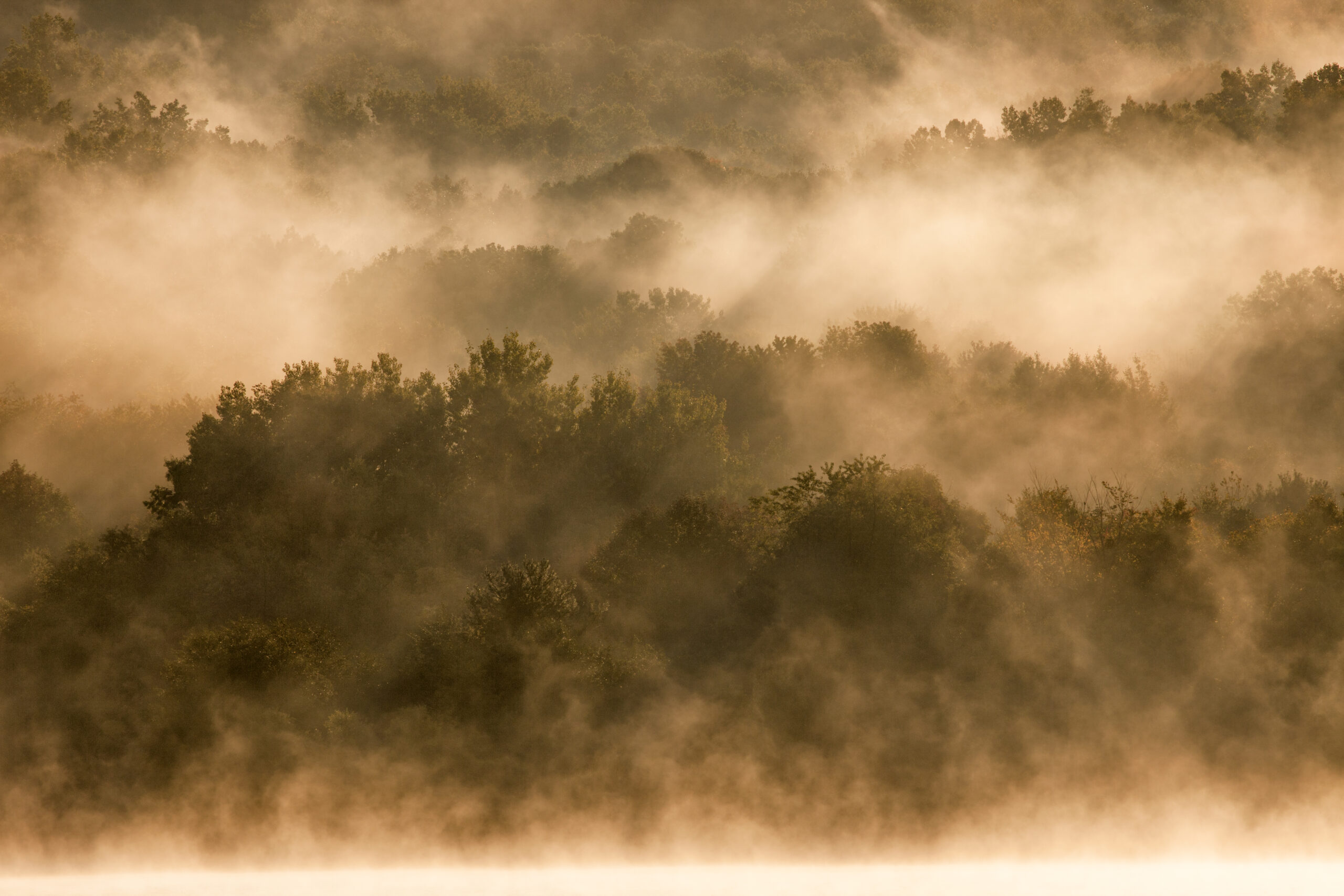 Well, I wouldn’t start from here | Climate Transition Working Group paper